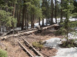 Milner Rd, Dillon, CO 80435