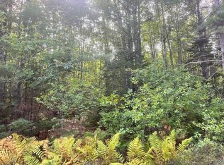 9 Morgan Bay Rd, Surry, ME 04684