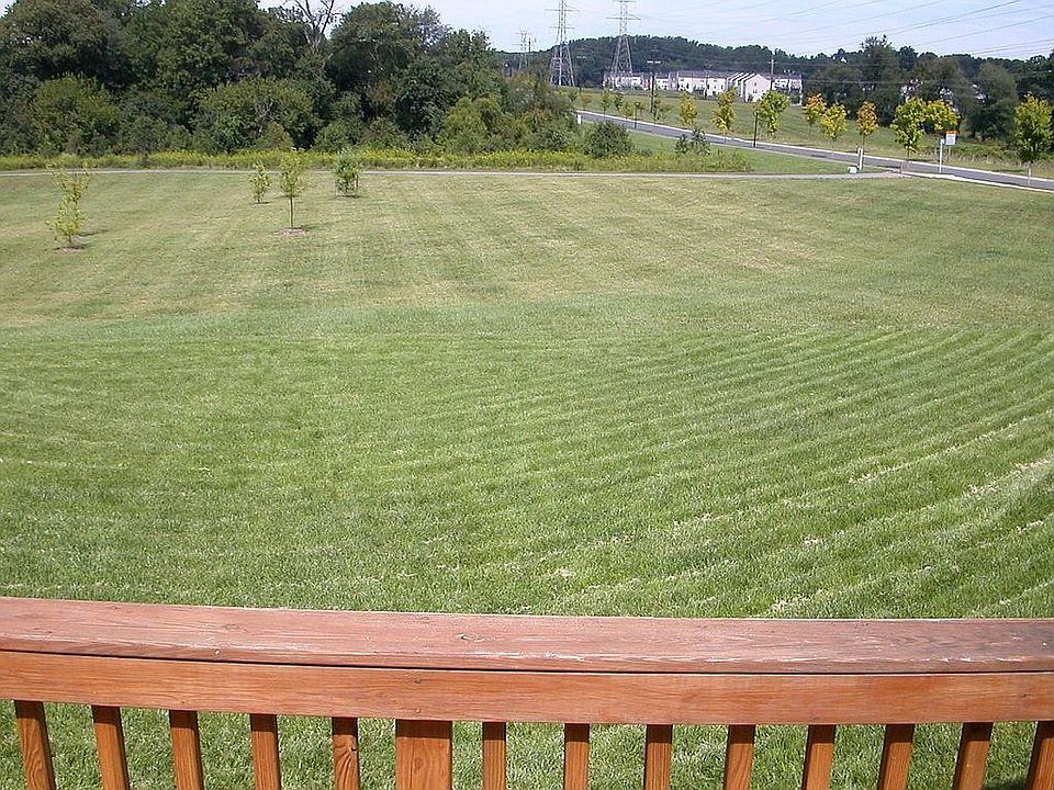 view from back deck