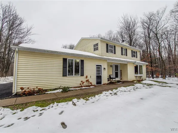 10836 Partridge Rd, Holland, NY 14080