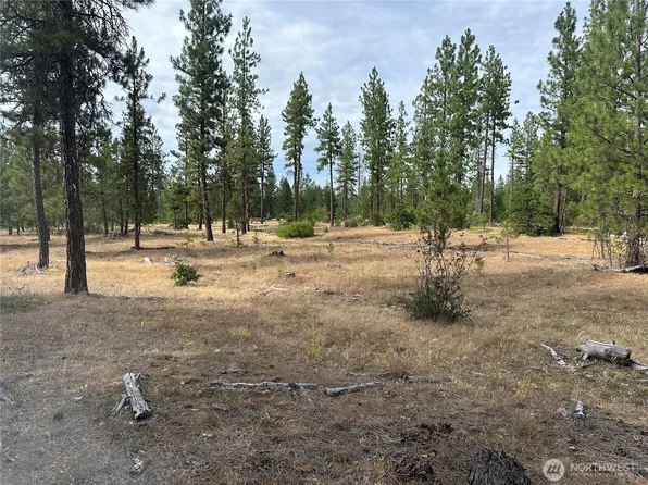 3 Greyback Mt Road, Goldendale, WA 98620