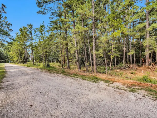 1503 Cheyenne Loop, Montgomery, TX 77316