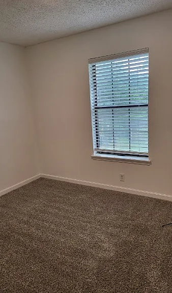 530 Phipps Dr — Photo 9
