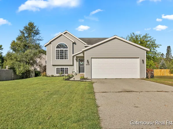 602 Birch Run St, Howard City, MI 49329