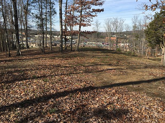 Beautiful Wooded lots