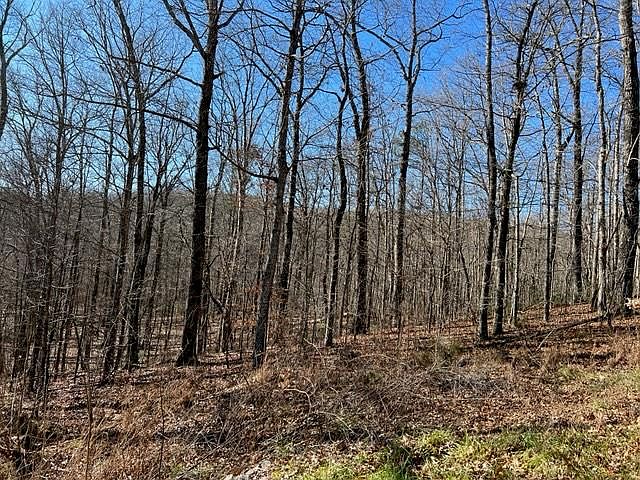1st image of LOT 50 Big Rock Ln