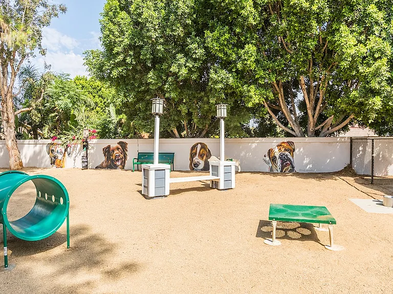 Dog Park