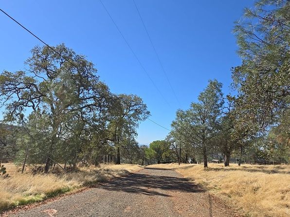 12240 Honey Mushroom Ln