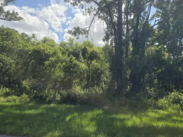 3906 Rambling Acres Dr, Titusville, FL 32796
