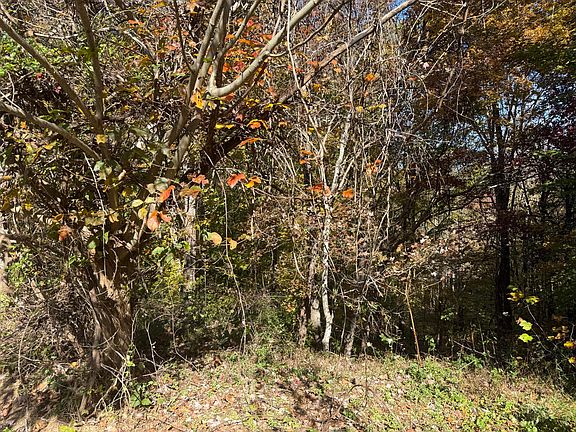 5th image of 835 New Fox Rd