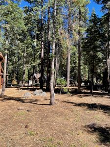 7274 5th Ave, Tahoma, CA, 96142