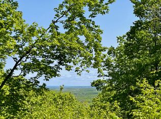 2400 Tower Rd, Vanderbilt, MI 49795