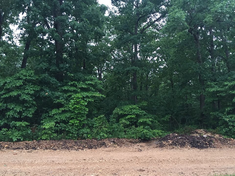 2nd image of 40 Acres Fire Tower Rd
