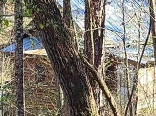 176 Sweet Creek Dr, Blue Ridge, GA 30513