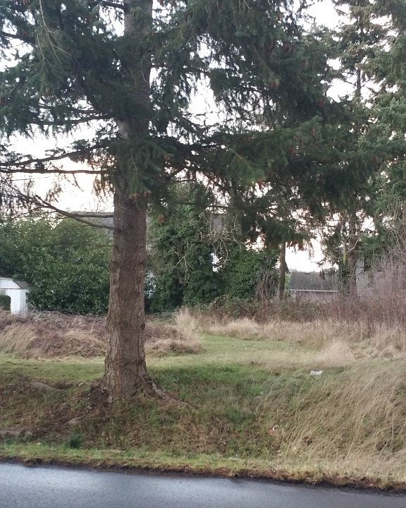 2nd image of 11 xx SW Ridgeway Drive