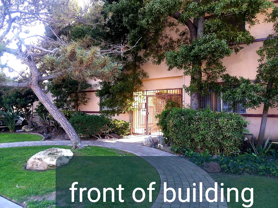 3705 Westwood Blvd #6