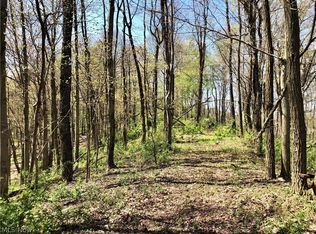 Plumm Rd, Saint Marys, WV 26170