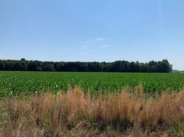 11 Springvale Rd, Bishopville, SC 29010