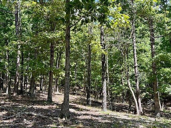 45th image of this home