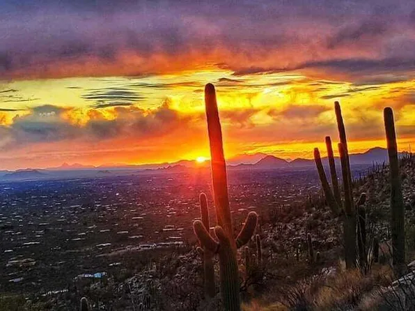 5499 N Wentworth Rd, Tucson, AZ 85749