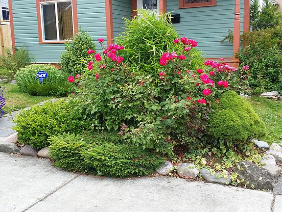 landscaping