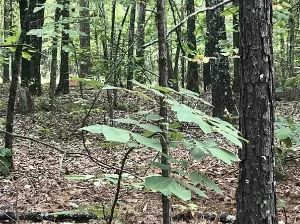 Lakeside Ln #23, Alpine, AL 35014