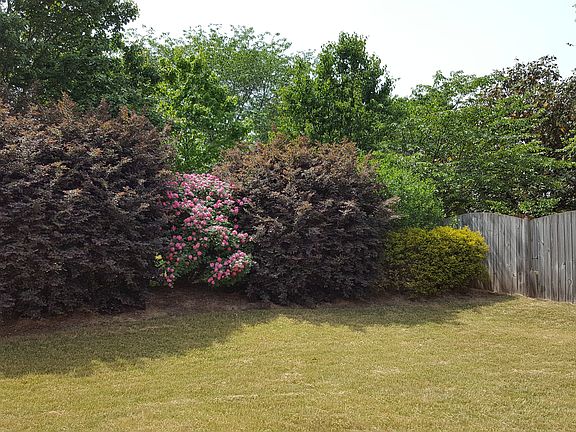 3rd image of 106 Belmont Stakes Way