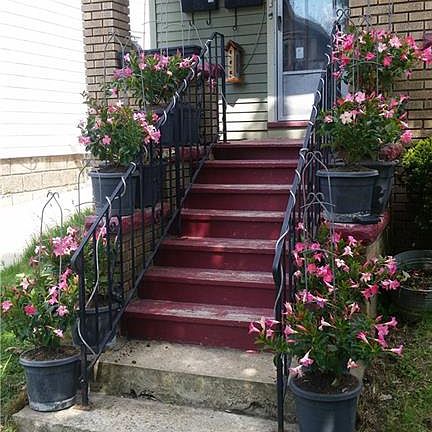 3rd image of 817 Ashland Ave