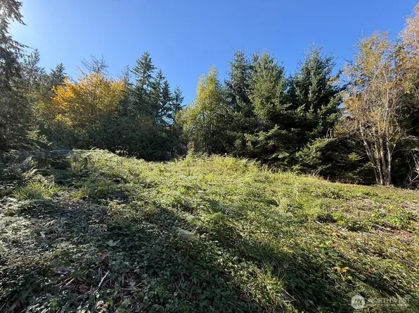 0 Chelsamish Drive, Sequim, WA 98382