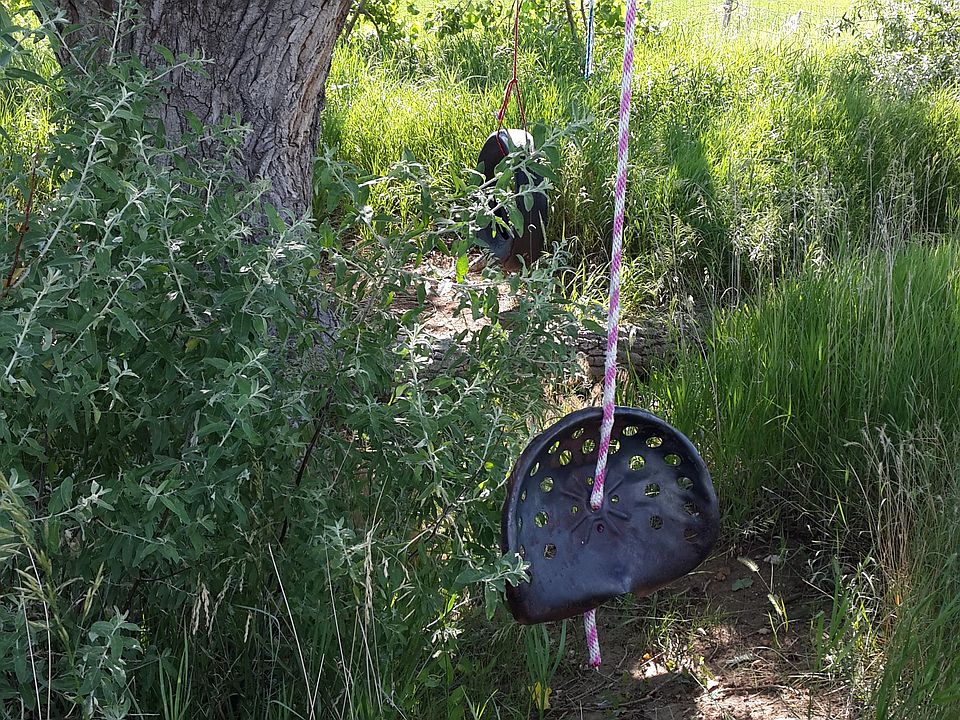 Swinging Tree Ranch