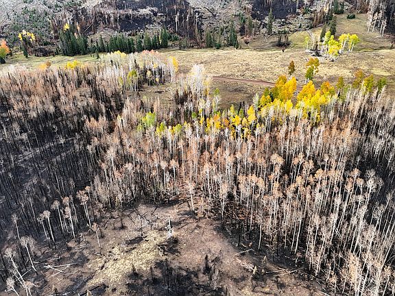 3rd image of 123 E Monroe Canyon Rd