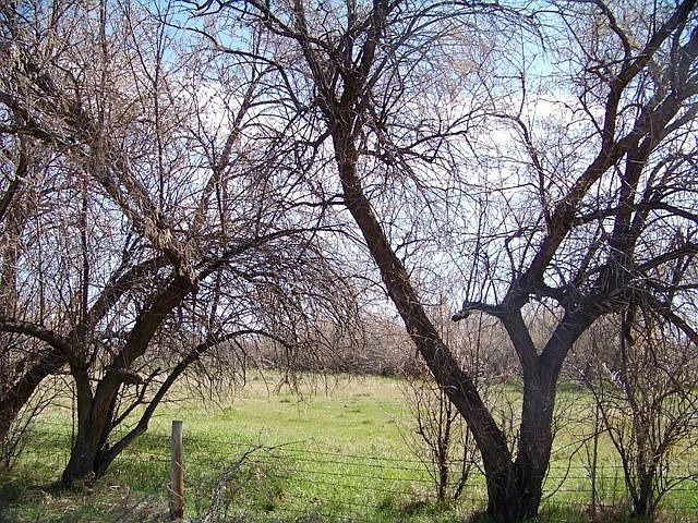 2nd image of 386 Paradise Valley Rd