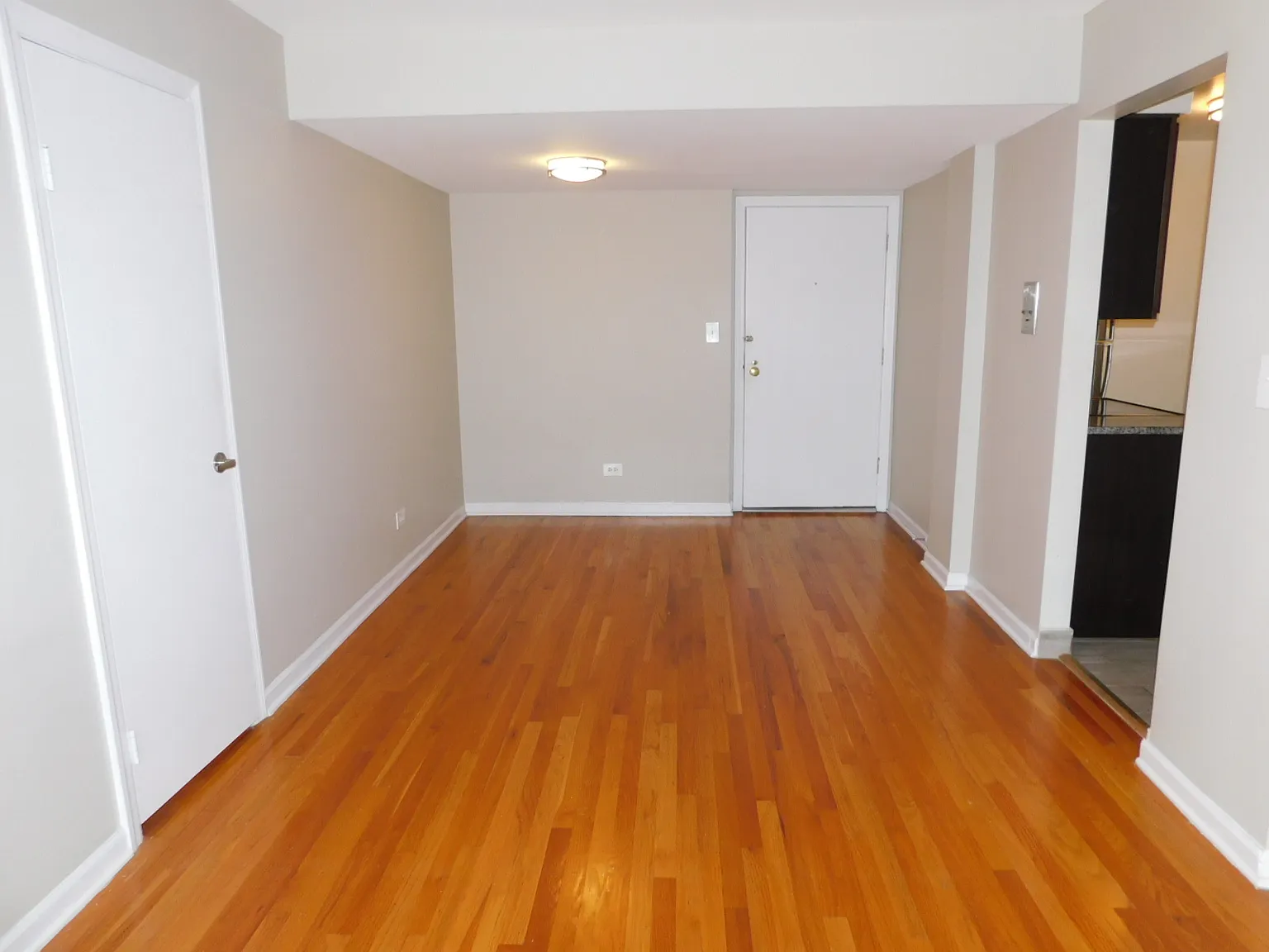 1 bed, 700 sqft, $1,875 — Photo 3
