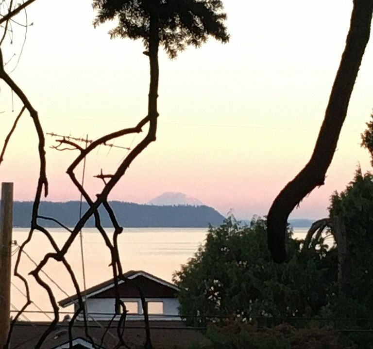 View from Deck