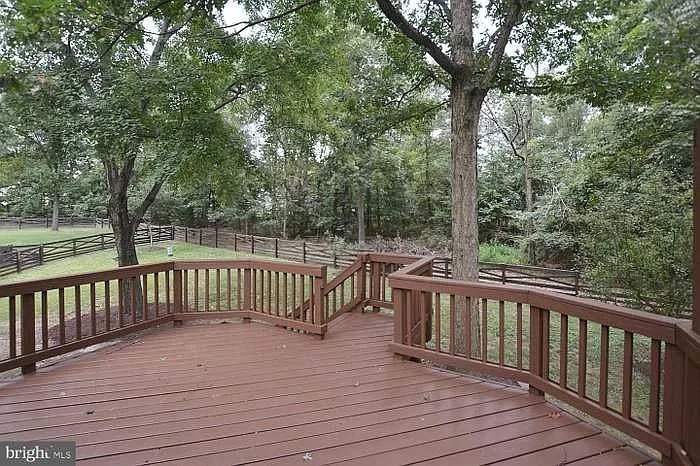 Backyard view from deck. Enjoy nature's beauty & privacy.