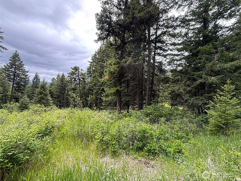 3rd image of 0 Pontiac Ridge Road