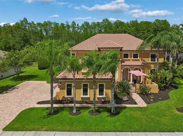 3654 Ballastone Dr, Land O Lakes, FL 34638