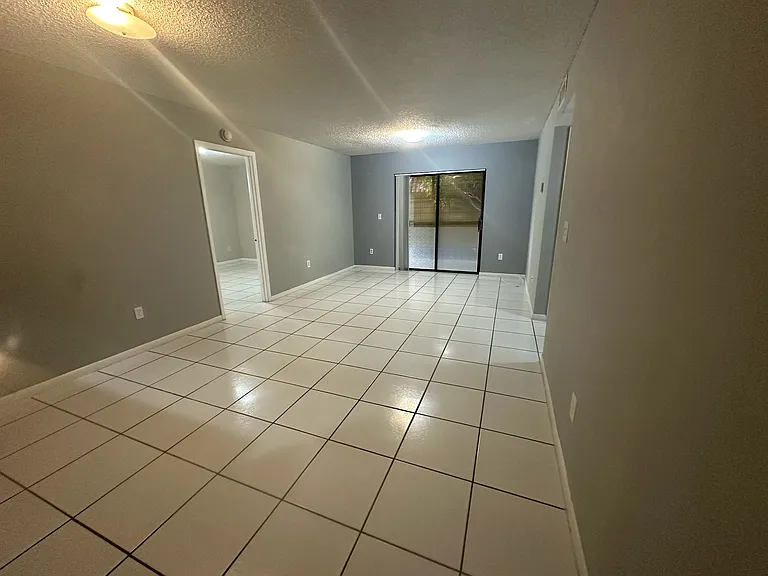 Living room and dining room