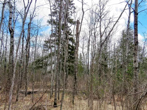 X48 Hansen Hjemsted Rd, Lutsen, MN 55612