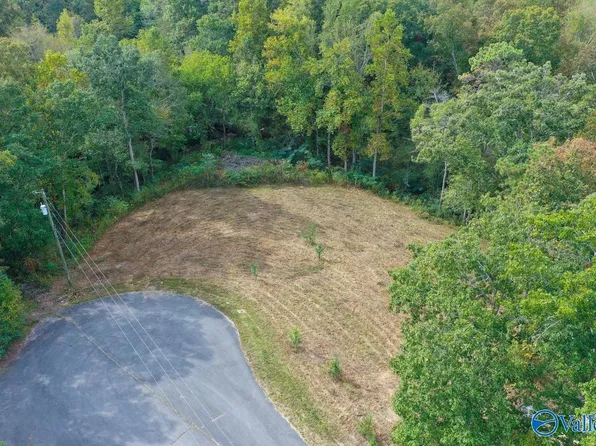 1 Creekside Ln SE, Arab, AL 35016