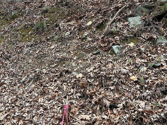 3rd image of 0 Chestnut Mountain Rd