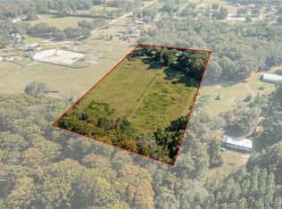 36141 Gresham Rd, Webster, FL 33597