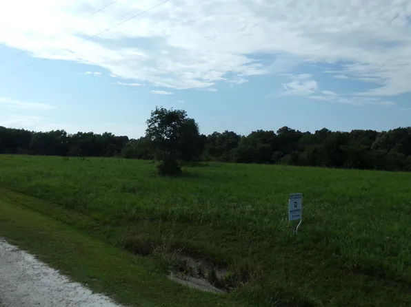 Tbd Dehaven Lane #Tract #1, Fair Grove, MO 65648