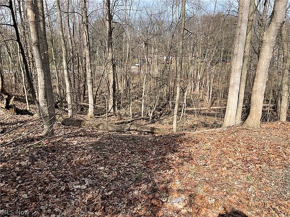 3rd image of Rustic Rook Rd