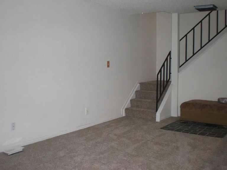 new carpet and paint