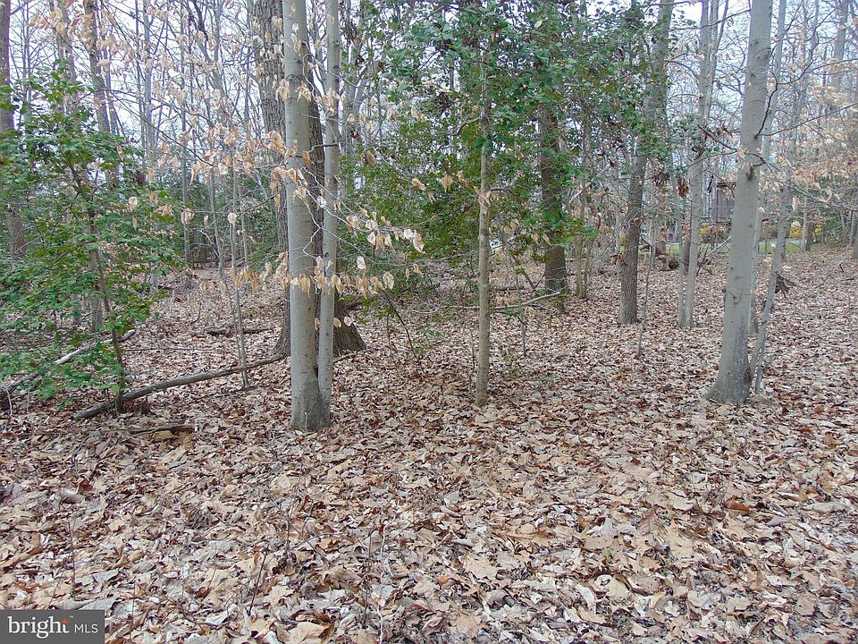 2nd image of 1371 Blue Shirt Rd