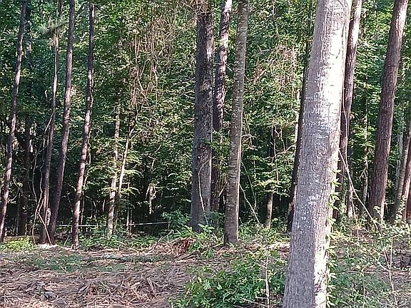 4th image of 90 Stevens Ln
