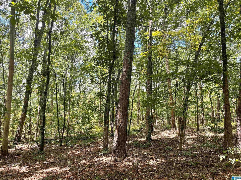 18400 Highway 78, Muscadine, AL 36269 MLS 21364497 Zillow