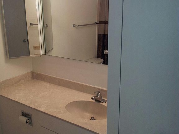 4th image of 405 N Wabash Ave Unit 2203