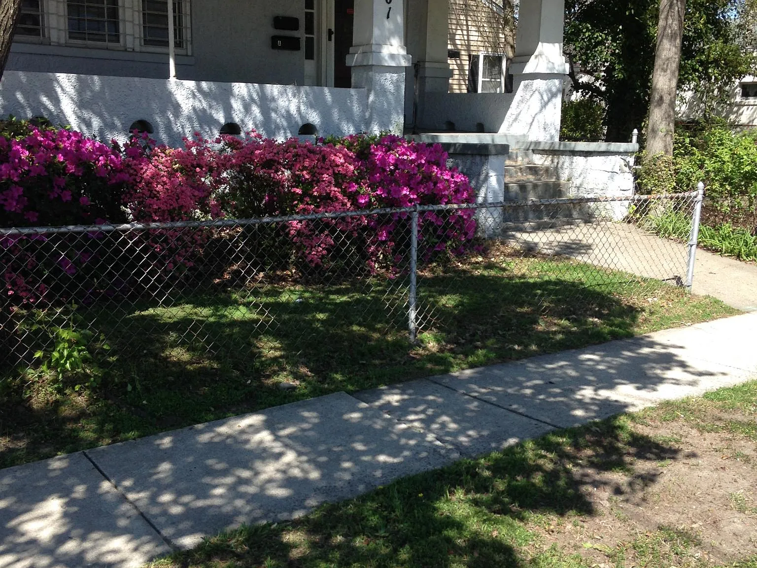 1 bed, $575 — Photo 2